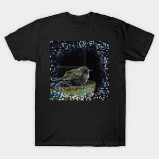 Starling Abstract by Debra Martz T-Shirt